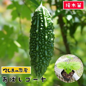 yĂ܂̕cz S[c ΂S[ fږؕc 9cm|bg ylCz