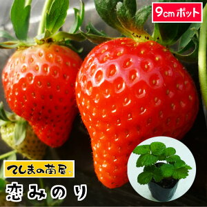 yHAC`Scz ݂̂ 9cm|bg ylCz