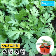 【てしまの苗】 シュンギク苗 大葉春菊 4株入りパック 葉菜苗 【人気】