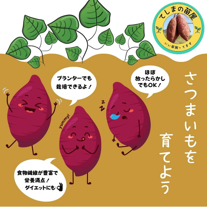 紅あずま 苗 1,200本