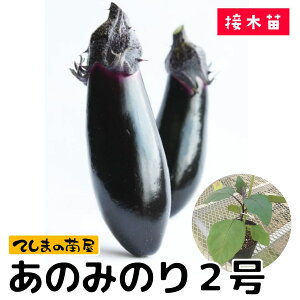 yĂ܂̕cziXc ݂̂̂2 9cm|bg fږؕc