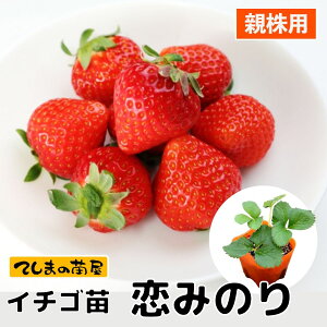 yepC`Scz ݂̂ 9cm|bg N[cグd PVP