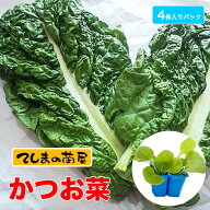 【てしまの苗】 カラシナ苗 かつお菜 4株入りパック 葉菜苗