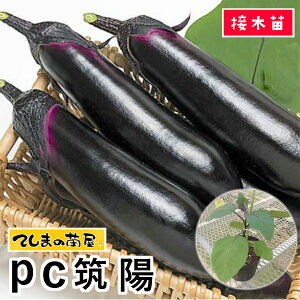 �y�Ă��܂̕c�z���i�X�c PC�}�z �f���ږؕc 9cm�|�b�g