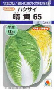 yqznNTCE65@1܁i160j^LC̃^ly[֑Ήz
