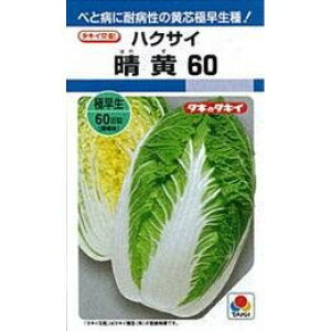 【種子】ハクサイ・晴黄60 ペレット5000粒タキイのタネ【メール便対応可】白菜