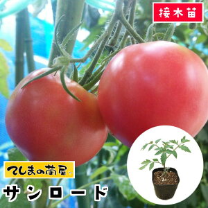 yĂ܂̕cz ʃg}gc T[h fږؕc 9cm|bg