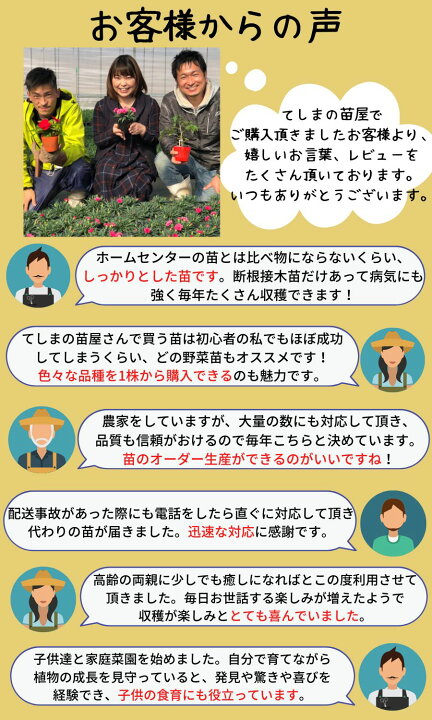 育苗の基礎知識