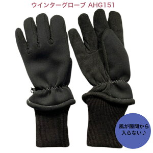 ArcHill A[Nq EC^[O[u t ̌ԂȂ ʋΒʊw g ۉ ubN AHG151