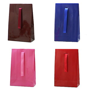 p-b-190 �y�[�p�[�o�b�O �� ��190X120X60mm 12���Z�b�g �e��J���[