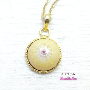 ~tBĨT[N^v`y_g/S[hJ[[5F] nhCh  ANZT[ Ă ~tBI xl`AKX