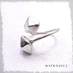 �yMS project �S���M�z���� �V���o�[1000�@�t���[�T�C�Y�����O �G���G�X�v���W�F�N�g