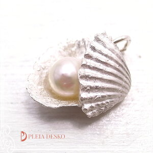 �p����2(�y���_���g) �V���o�[1000/925 PLEIA DESKO [ �v���A �f�X�R�[ ]