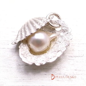 �p����2(�y���_���g) �V���o�[1000/925 PLEIA DESKO [ �v���A �f�X�R�[ ]