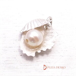 �p����2(�y���_���g) �V���o�[1000 PLEIA DESKO [ �v���A �f�X�R�[ ]