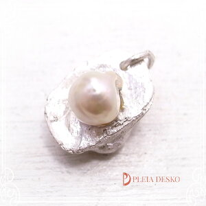�p���� �y���_���g�g�b�v �V���o�[1000 PLEIA DESKO [ �v���A �f�X�R�[ ]