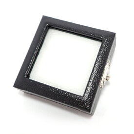 【ルースケース】 約50x50x22mm 《1個》 裸石ケース/ジュエリーケース/宝石ケース/コインケース l-c-1