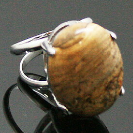 天然石 リング 指輪 フリーサイズ オーバルカボション ピクチャージャスパー シルバーカラー 約17x22mm