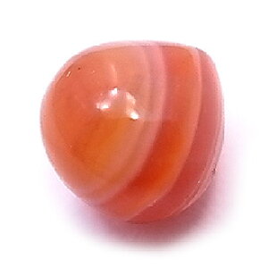 T[hIjLX J[lA }VFCv r[Yp[c 6`8mm 㕔ђʌ VR p[Xg[ Xs`AXg[