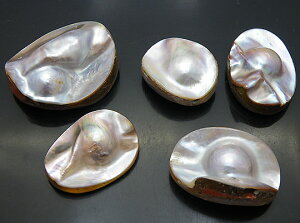 VFL yVR΃p[cz Xq^p[c 낢ȃp[c 30-mmO s1t