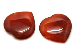 J[lA yVR΃p[cz n[gp[ciȂj xxmm s1t `[tp[c