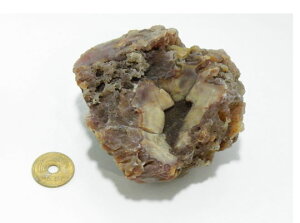 y1_́zkCY AQ[g ΁@RNV p[Xg[ Xs`A q[O gs-cs-3001