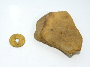 y1_́zkCY AQ[g ΁@RNV p[Xg[ Xs`A q[O gs-cs-3014