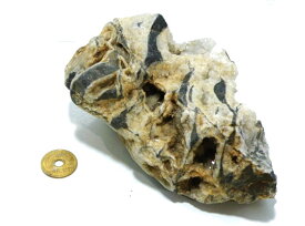 【送料無料】北海道産瑪瑙 アゲート 1点もの　原石 コレクション パワーストーン スピリチュアル ヒーリング gs-cs-3021