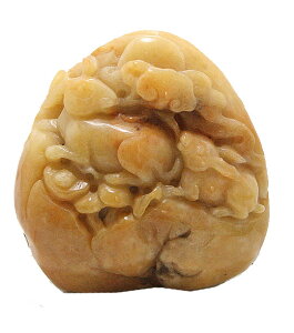  1_ CG[WFChŐ  VR΁@ RNV p[Xg[ Xs`A q[O