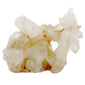 NH[c yNX^[ 1_́z VR p[Xg[ Xs`A q[O RNV