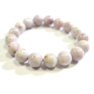 eBt@j[Xg[ y1_ uXbgz  16cm VR p[Xg[