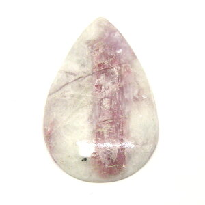 ���x���C�g�@�g���}����in�N�H�[�c �J�{�V���� ��25x16x3.7mm �y1�_���胋�[�X�z �V�R�� �p���[�X�g�[��