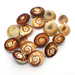 TUG̃t^ yr[Y ʌz 1A 39cm 23mm VR