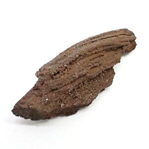 ペトリファイドウッド (珪化木) 【原石 1点もの】 約36x98x23mm 60g 天然石 パワーストーン スピリチュアルストーン