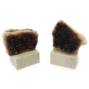 Vg yzW{ ʌz u(嗝Αt) _ZNg VR  p[Xg[ Xs`A q[O RNV