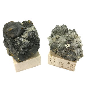 NH[c pCCgyzW{ ʌz u(嗝Αt) _ZNg VR  p[Xg[ Xs`A q[O RNV