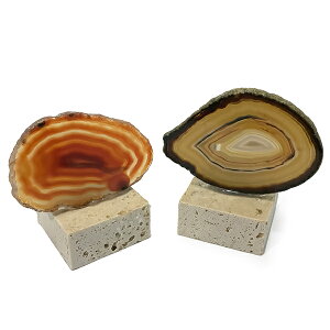 AQ[g yzW{ ʌz u(嗝Αt) _ZNg VR  p[Xg[ Xs`A q[O RNV