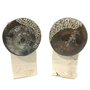 AiCg yzW{ ʌz u(嗝Αt) _ZNg VR  p[Xg[ Xs`A q[O RNV