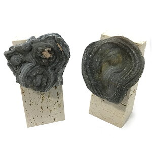 JZhj[ yzW{ ʌz u(嗝Αt) _ZNg VR  p[Xg[ Xs`A q[O RNV