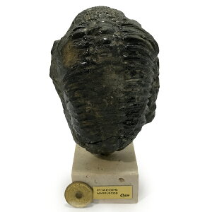 t@RvX yzW{z u(嗝Αt) 1_ VR  p[Xg[ Xs`A q[O RNV