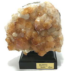 Vg yzW{z u(嗝Αt) 1_ VR  p[Xg[ Xs`A q[O RNV