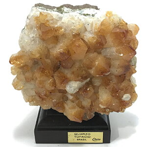 Vg yzW{z u(嗝Αt) 1_ VR  p[Xg[ Xs`A q[O RNV