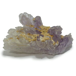 NH[cyNX^[z 90g 1_ VR  p[Xg[ Xs`A q[O RNV