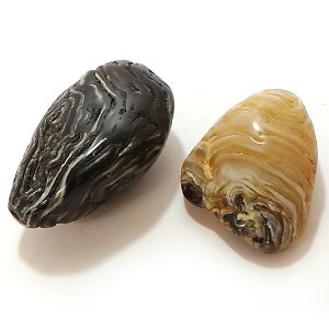 �A�Q�[�g����y���� 1�_���́z �V�R�� ���� �p���[�X�g�[�� �X�s���`���A�� �q�[�����O �R���N�V����/2�Z�b�g(��)