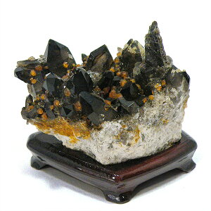 TXpeBK[lbgt X[L[NH[c yNX^[ 1_́z 59x71x46mm VR p[Xg[ Xs`A q[O RNV