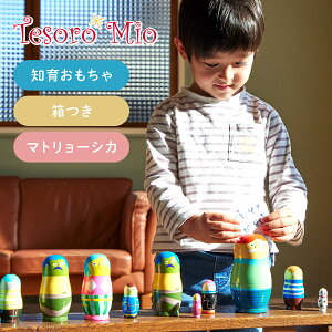 ySiΏ10%OFFN[|z yTesoro Miozsmile&study collection [VJb j̎q ̎q Ԃ  ߋ@mߋ Q[Zbg  Q[ Zbg  j̎q 