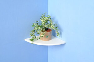 KGY vX^[VFtPS-200WW zCg