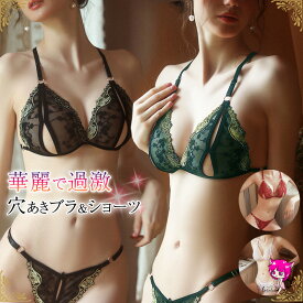 セクシーランジェリー オープンブラ ショーツ 穴あき スケスケ セクシー ランジェリー 透け透け レース 超過激 股割れ オープンクロッチ 上下セット ブラセット 穴あきブラジャー オープンショーツ Tバック 下着 インナー プレイ エロい エッチな下着