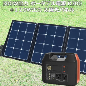 楽天市場 車中泊 電子レンジの通販