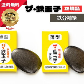 【ポイント10倍★お買い物マラソン限定!!】 ザ・鉄玉子 2個セット 薄型 産地直送 正規品 南部鉄 鉄分補給 本場 岩手県奥州市水沢産
